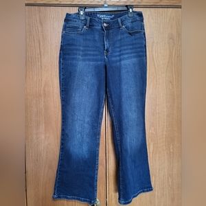 Y2K Curvy Flare Plus Size Maurices Jeans Size 16 Short